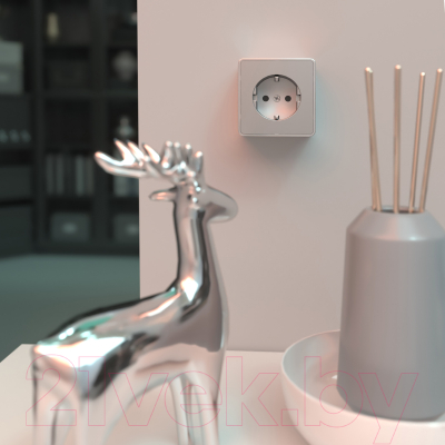 Розетка Werkel Gallant W5071006 / a052773