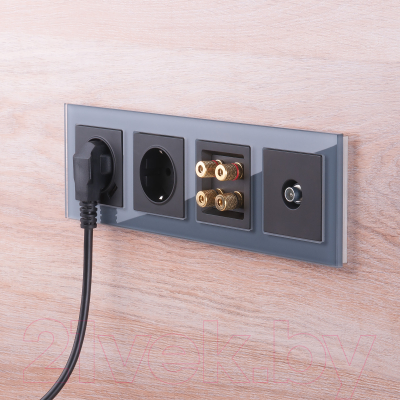 Розетка Werkel W1183008 / a051612