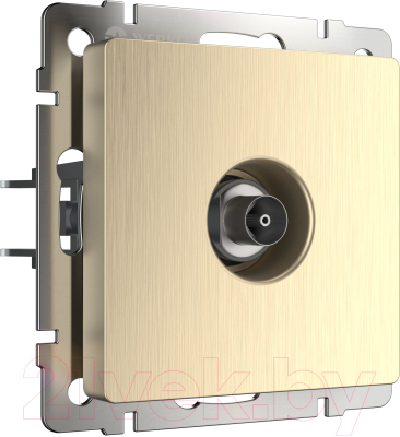 Розетка Werkel W1183010 / a051427 - фото