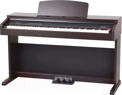 Цифровое фортепиано Medeli DP250RB - фото