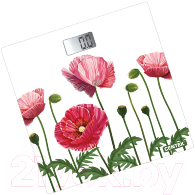 Напольные весы электронные Centek CT-2416 - фото