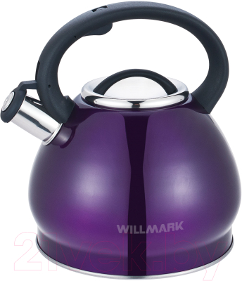Чайник со свистком Willmark WTK-4221SS / 2001487 - фото