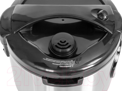 Мультиварка Pioneer MC301