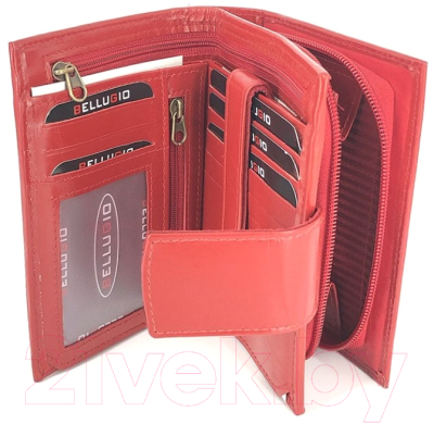 Портмоне Bellugio AD-21R-217