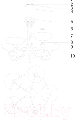 Люстра Moderli Lione / V1204-5C