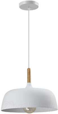 Потолочный светильник Moderli Augustina / V1270-1P - фото