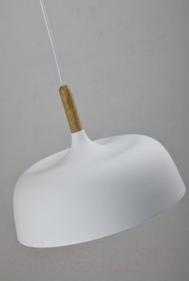 Потолочный светильник Moderli Augustina / V1270-1P