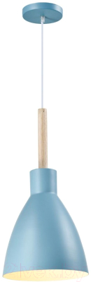 Потолочный светильник Moderli Toni / V1283-1P