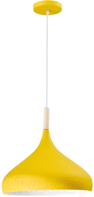 Потолочный светильник Moderli Eline / V1293-1P - фото