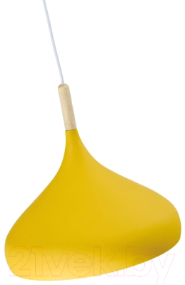 Потолочный светильник Moderli Eline / V1293-1P