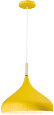 Потолочный светильник Moderli Eline / V1293-1P