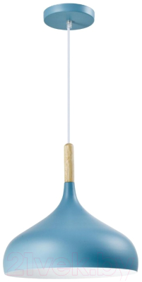 Потолочный светильник Moderli Eline / V1295-1P - фото