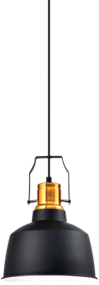 Потолочный светильник Moderli Felex / V1440-1P - фото