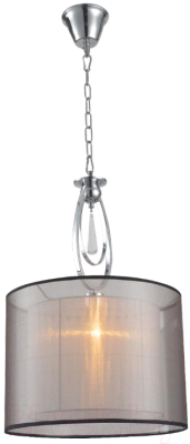 Потолочный светильник Moderli Dark / V2580-1P - фото