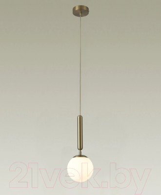 Потолочный светильник Moderli Host / V2850-1P - фото