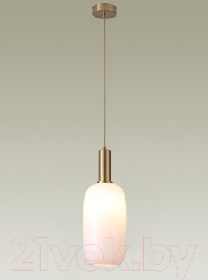 Потолочный светильник Moderli Martin / V2890-1P - фото