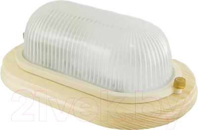 Светильник ЖКХ TDM НПБ1201 100Вт IP54 - фото