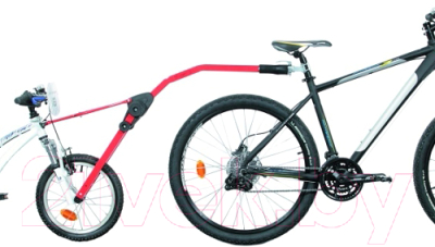 Велоприцеп Peruzzo Trail Angel / 300/R-PRZ - фото