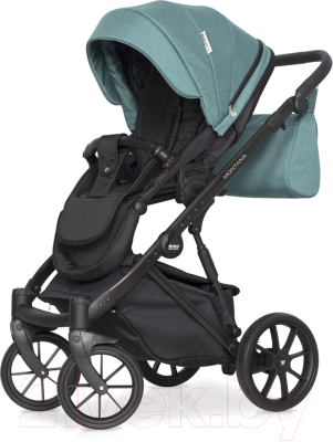 Детская универсальная коляска Riko Montana 2 в 1