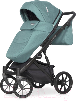 Детская универсальная коляска Riko Montana 2 в 1