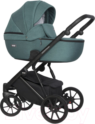 Детская универсальная коляска Riko Montana 3 в 1 - фото