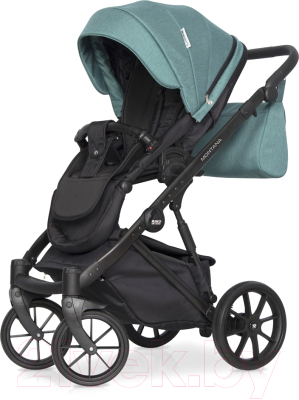 Детская универсальная коляска Riko Montana 3 в 1