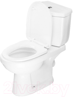 Унитаз напольный AV Engineering Agio AVFTNR2620 - фото