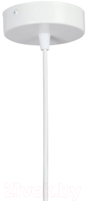 Потолочный светильник Vitaluce V2972-0/1S