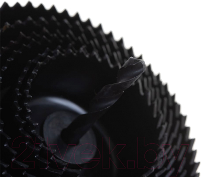 Набор коронок Stayer 29600-H8