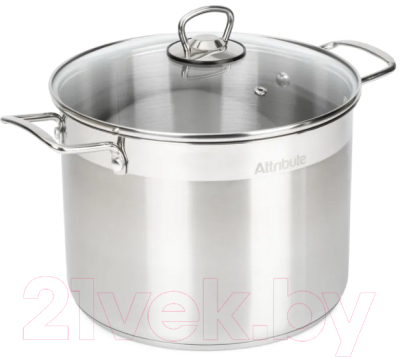 Кастрюля Attribute Master Chef ASM008