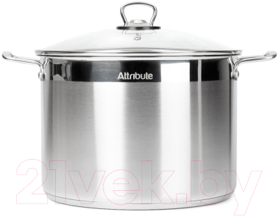 Кастрюля Attribute Master Chef ASM012