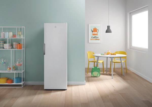 Морозильник Indesit DFZ 5175