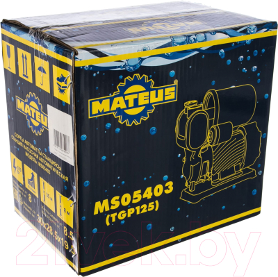 Насосная станция Mateus MS05403