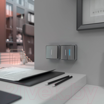 Выключатель Werkel Gallant W5010106 / a052766