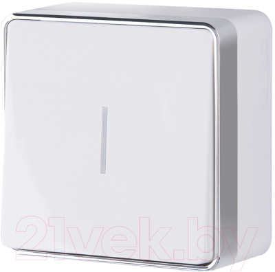 Выключатель Werkel Gallant W5010101 / a051578 - фото