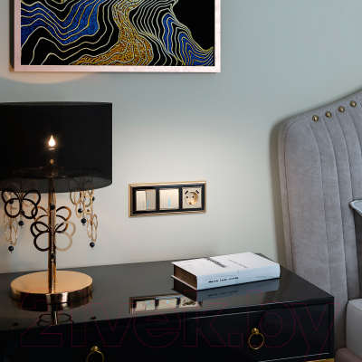 Лицевая панель для розетки Werkel W1179510 / a051422