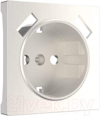 Лицевая панель для розетки Werkel W1179513 / a051189 - фото