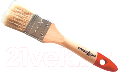 Кисть малярная УПРАВДОМ Профи 013111-020 - фото