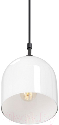 Потолочный светильник Vitaluce V2951-1/1S