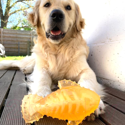 Игрушка для собак Duvo Plus Рыбка 12432/DV