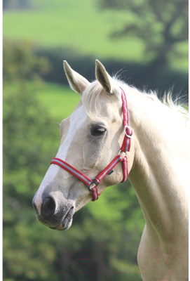 Недоуздок для лошади Shires Wessex COB / 363/RED/SIL/COB