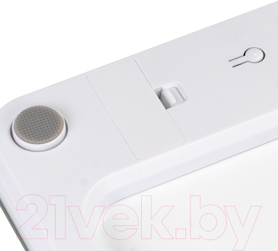 Напольные весы электронные Galaxy GL 4814