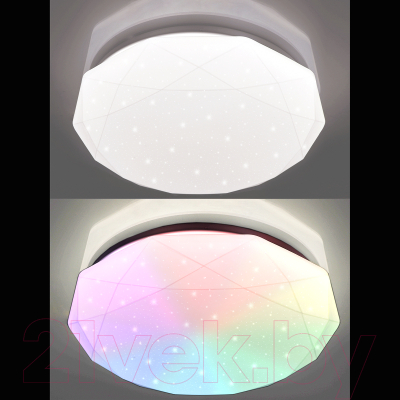 Потолочный светильник Natali Kovaltseva Led Lamps 81100