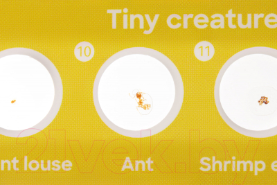 Набор микропрепаратов Discovery Флора и фауна / 78226