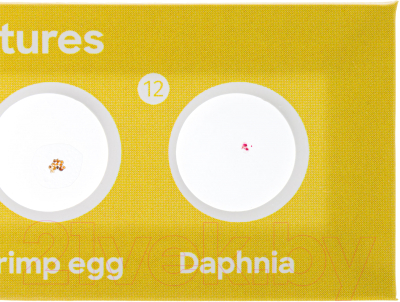 Набор микропрепаратов Discovery Флора и фауна / 78226