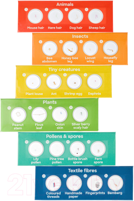 Набор микропрепаратов Discovery Флора и фауна / 78226