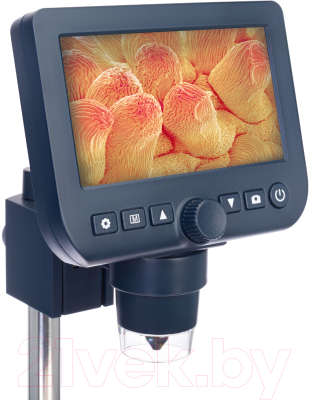 Микроскоп цифровой Levenhuk Discovery Artisan 64 / 78161