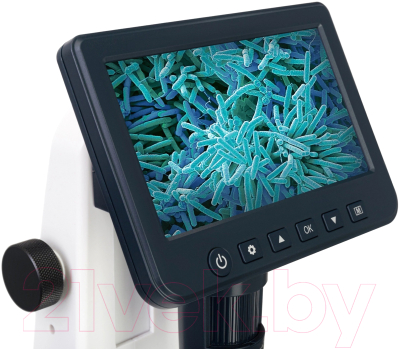 Микроскоп цифровой Levenhuk Discovery Artisan 512 / 78164