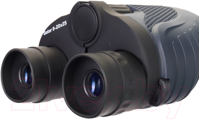 Бинокль Levenhuk Discovery Gator 8-20x25 / 77916