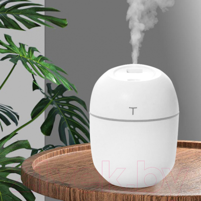 Ультразвуковой увлажнитель воздуха No Brand Egg / 21001.01 (белый)